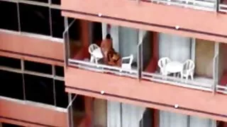 شیشے بیوکوف مزاحمت نہیں کر سکا اور اس کے سیکسی ویڈیو سیکسی منہ میں ایک اچھا مرگا نگل لیا