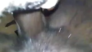 گدا ، اتارنا fucking سیکسی ویڈیو سیکسی ویڈیو چوری میں fishnets آخر میں اس گدا کی طرف سے ایک بھیڑ